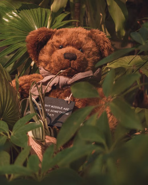 Colônia Pet